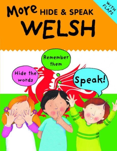 More Hide and Speak Welsh, EPUB eBook