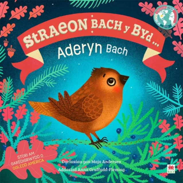 Aderyn Bach, Yr / Little Bird, The (Cyfres Straeon Bach y Byd), Paperback / softback Book