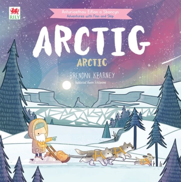 Cyfres Anturiaeth Eifion a Sboncyn: Arctig / Arctic, Paperback / softback Book