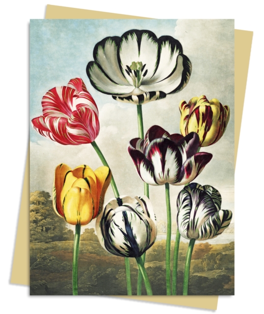 Temple of Flora: Tulips Greeting Card Pack : Pack of 6, Cards Book