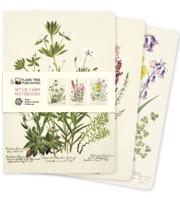 Royal Botanic Garden Edinburgh Set of 3 Midi Notebooks, Notebook / blank book Book