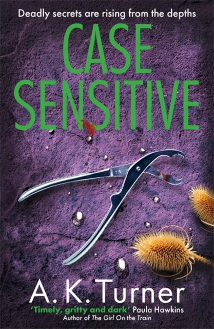 Case Sensitive : A gripping forensic mystery set in Camden, Paperback / softback Book