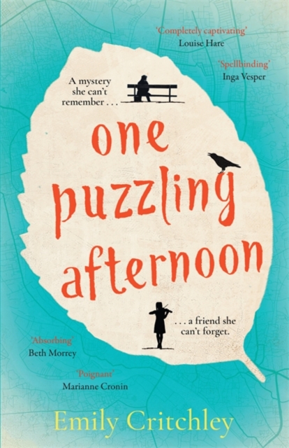 One Puzzling Afternoon : The most compelling, heartbreaking debut mystery, Hardback Book