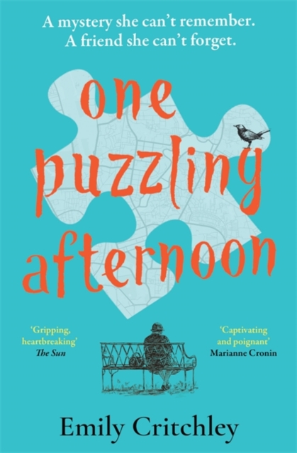 One Puzzling Afternoon : The most compelling, heartbreaking debut mystery, Paperback / softback Book