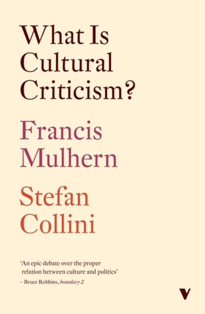 What Is Cultural Criticism?, Paperback / softback Book