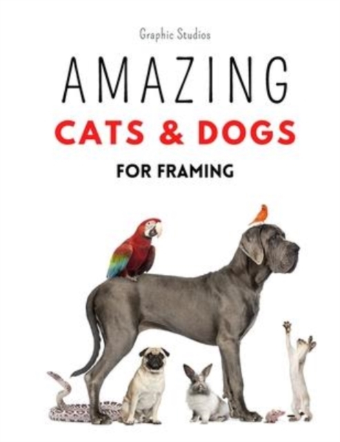 Amazing Cats and Dogs for Framing : Amazing pet photos, funny dogs and cats to frame, Paperback / softback Book