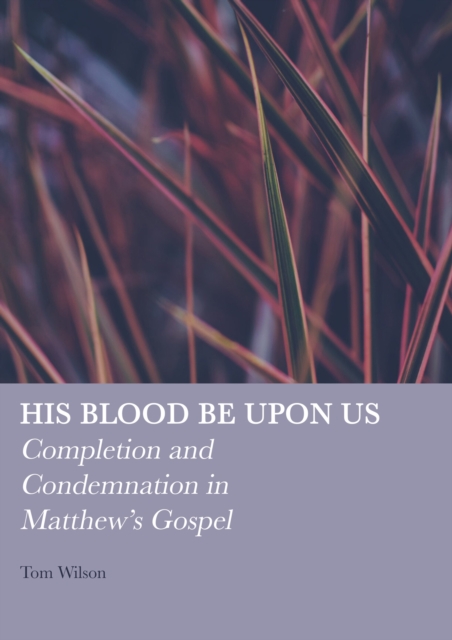 His Blood be Upon Us : Completion and Condemnation in Matthew's Gospel, PDF eBook