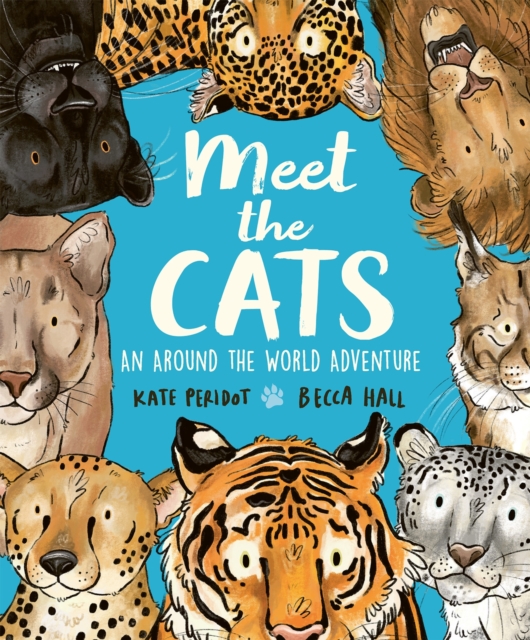 Meet the Cats, Hardback Book