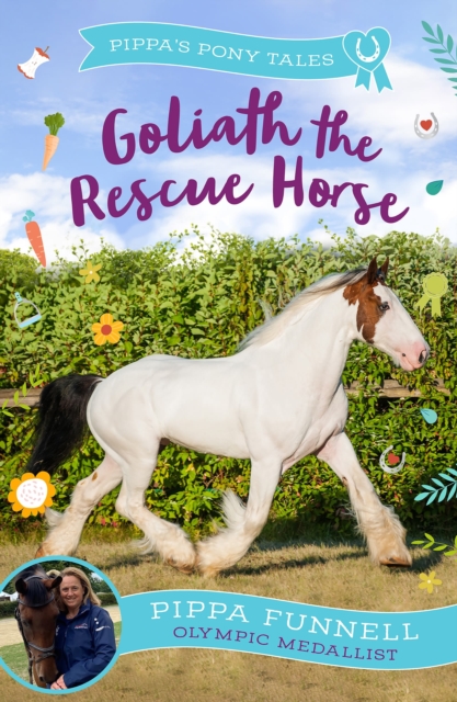 Goliath the Rescue Horse, Paperback / softback Book