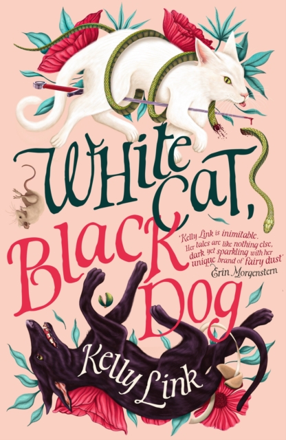 White Cat, Black Dog, EPUB eBook