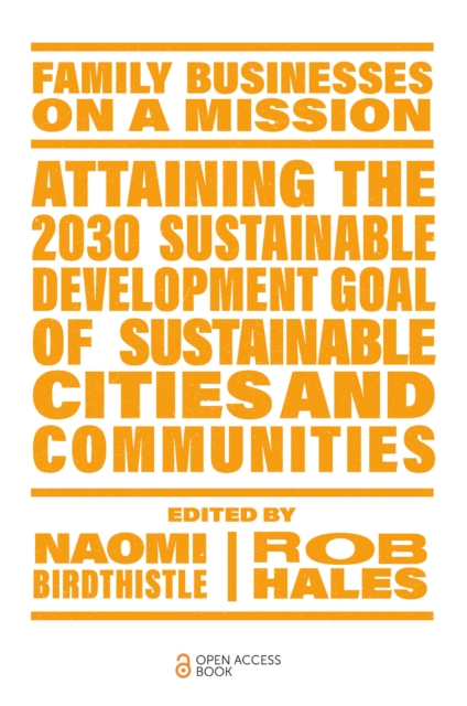 Attaining the 2030 Sustainable Development Goal of Sustainable Cities and Communities, Paperback / softback Book
