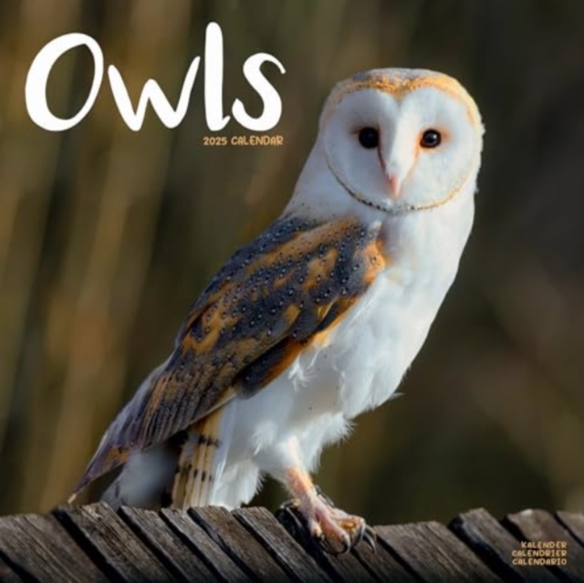 Owls Calendar 2025 Square Birds Wall Calendar - 16 Month, Calendar Book
