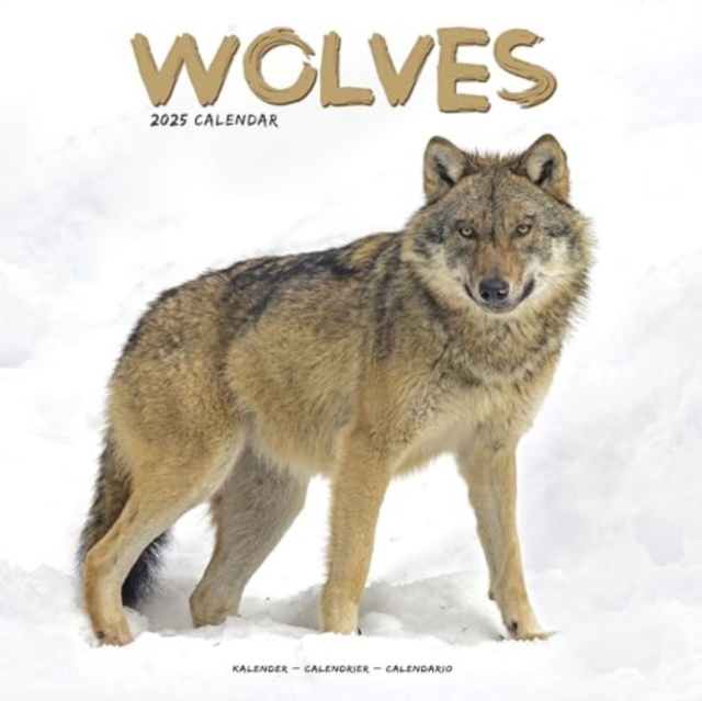 Wolves Calendar 2025 Square Animal Wall Calendar - 16 Month, Calendar Book
