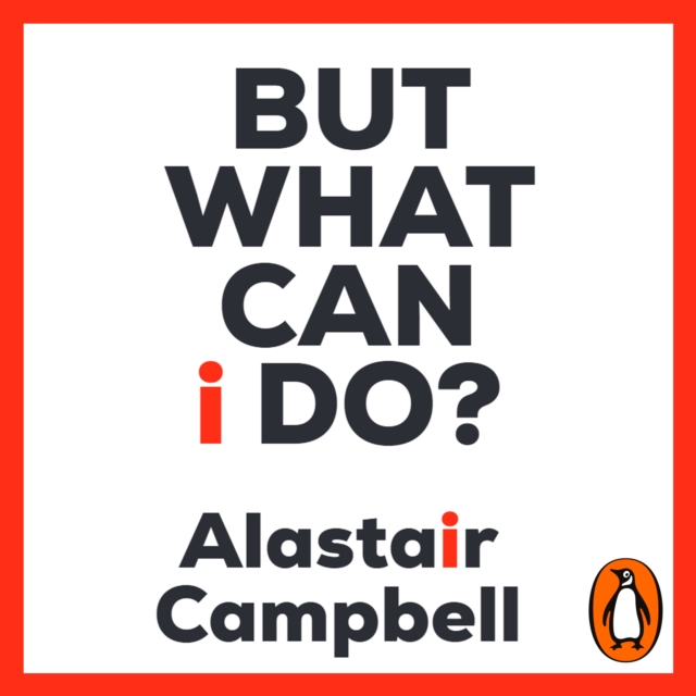 But What Can I Do? : Why Politics Has Gone So Wrong, and How You Can Help Fix It, eAudiobook MP3 eaudioBook