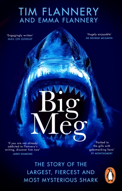 Big Meg : The Story of the Largest, Fiercest and Most Mysterious Shark, Paperback / softback Book