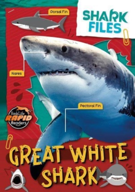 Great White Shark, Paperback / softback Book