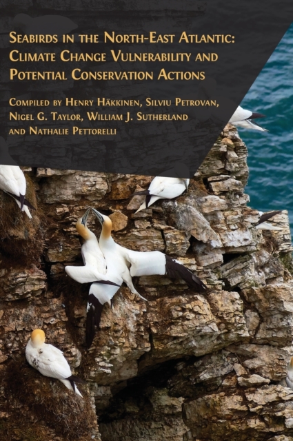 Seabirds in the North-East Atlantic, Hardback Book