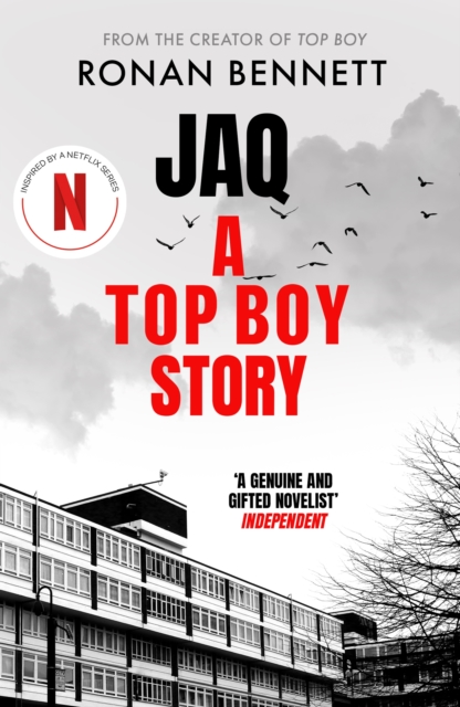Jaq, A Top Boy Story, EPUB eBook