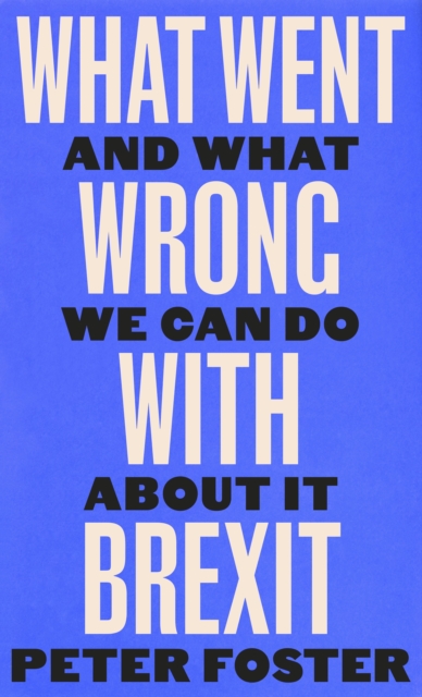 What Went Wrong With Brexit : And What We Can Do About It, EPUB eBook