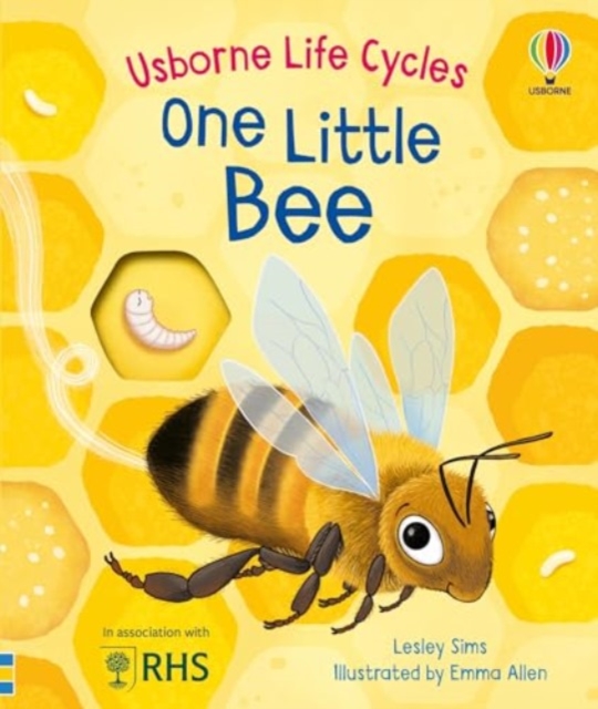 One Little Bee, Board book Book