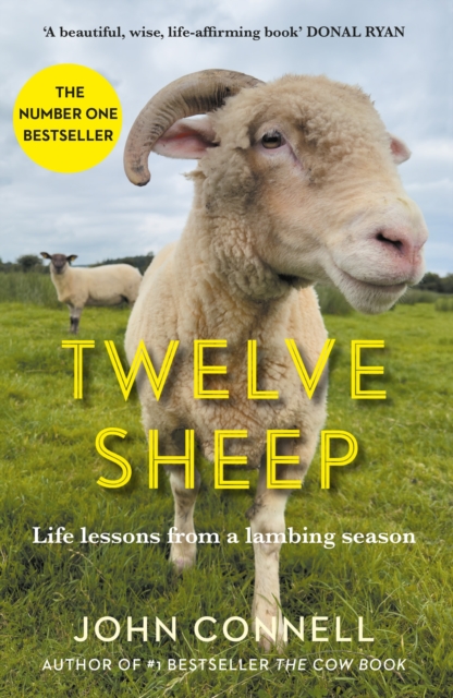 Twelve Sheep : Life lessons from a lambing season, Hardback Book