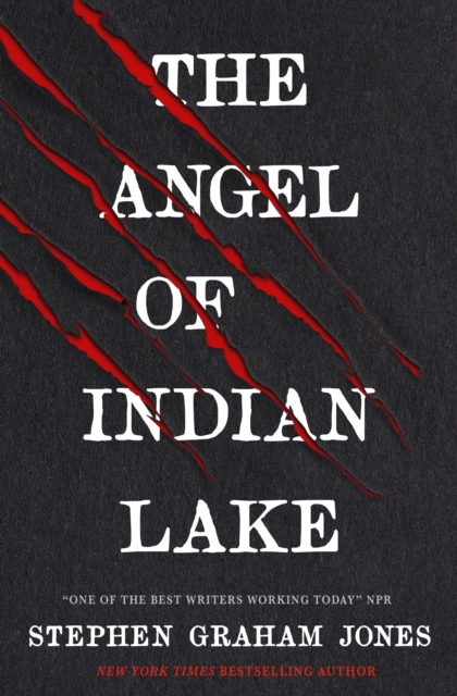 The Angel of Indian Lake, Paperback / softback Book