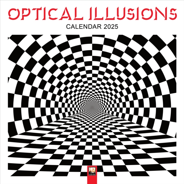 Optical Illusions Wall Calendar 2025 (Art Calendar), Calendar Book