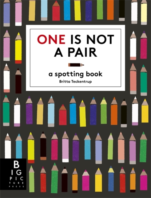 One is Not a Pair : A spotting book, Paperback / softback Book