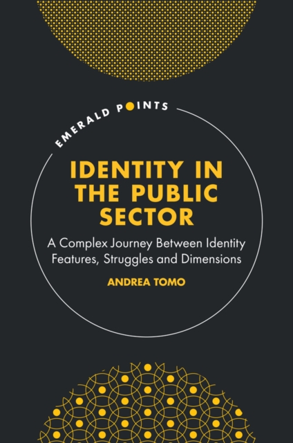 Identity in the Public Sector : A Complex Journey Between Identity Features, Struggles and Dimensions, PDF eBook