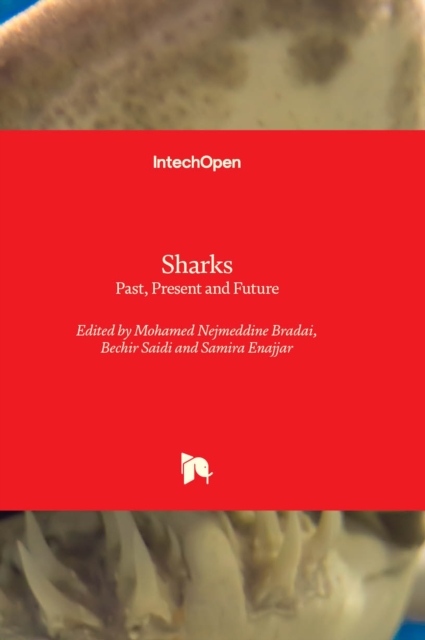Sharks : Past, Present and Future, Hardback Book