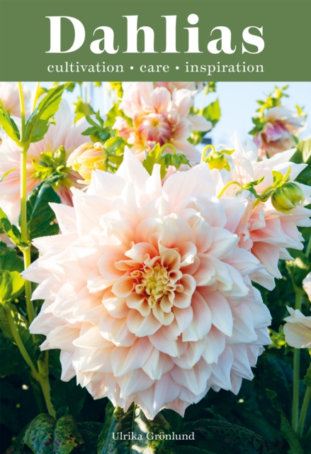 Dahlias : Inspiration, Cultivation and Care for 222 Varieties, Hardback Book