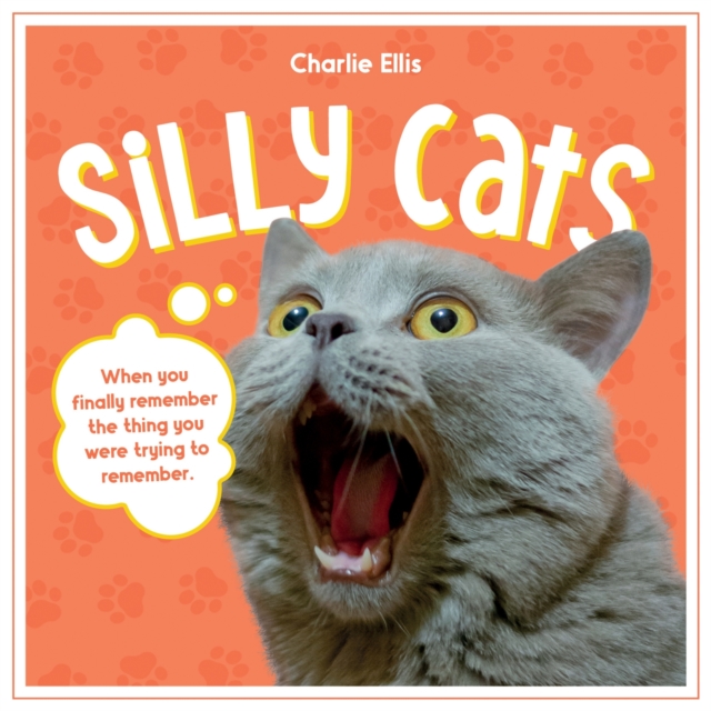 Silly Cats : A Ridiculous Collection of the World's Goofiest Cats and Most Relatable Memes, Hardback Book