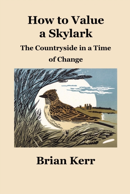 How to Value a Skylark : The Countryside in a Time of Change, Paperback / softback Book