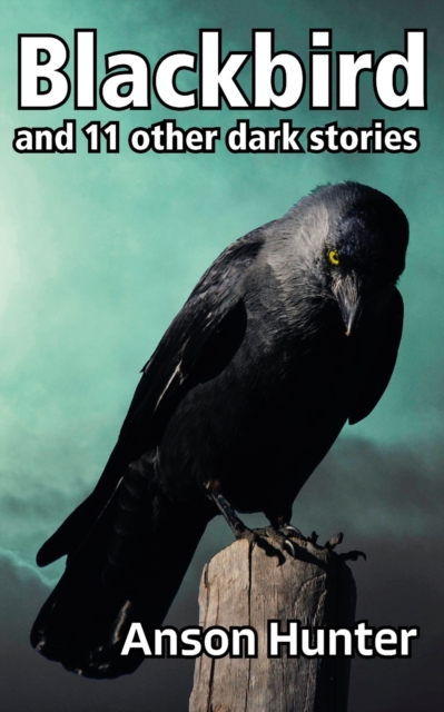 Blackbird : and 11 other dark stories, Paperback / softback Book