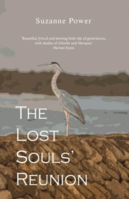 The Lost Souls' Reunion, Paperback / softback Book
