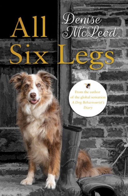All Six Legs, Paperback / softback Book