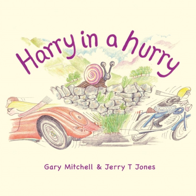 Harry in a Hurry, Paperback / softback Book