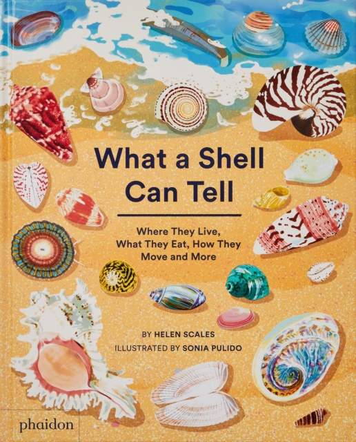 What A Shell Can Tell, Hardback Book