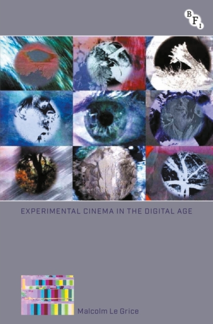 Experimental Cinema in the Digital Age, EPUB eBook