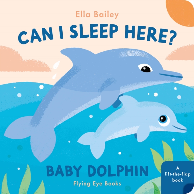 Can I Sleep Here Baby Dolphin, Board book Book