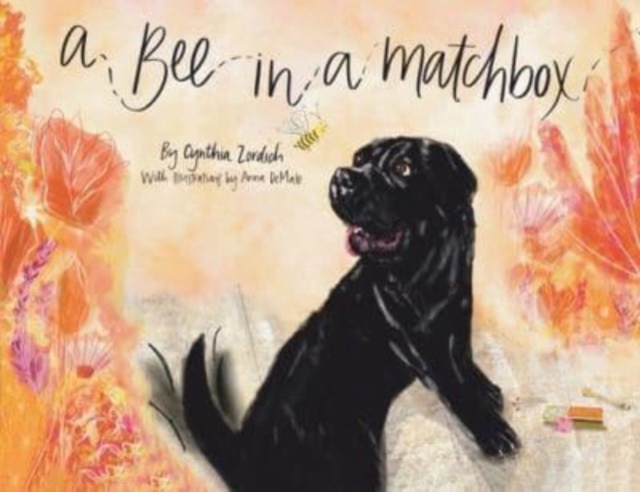 A Bee in a Matchbox, Paperback / softback Book