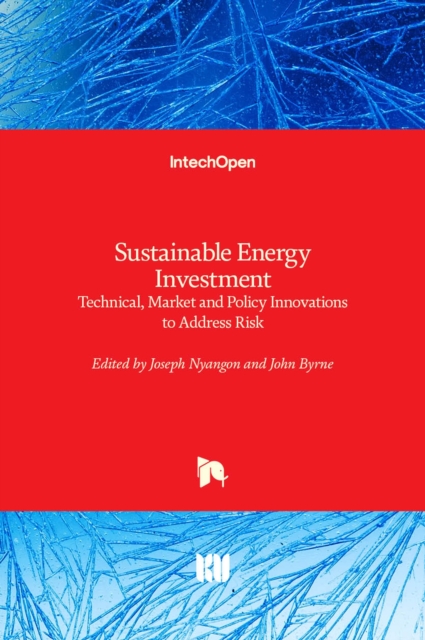 Sustainable Energy Investment : Technical, Market and Policy Innovations to Address Risk, Hardback Book
