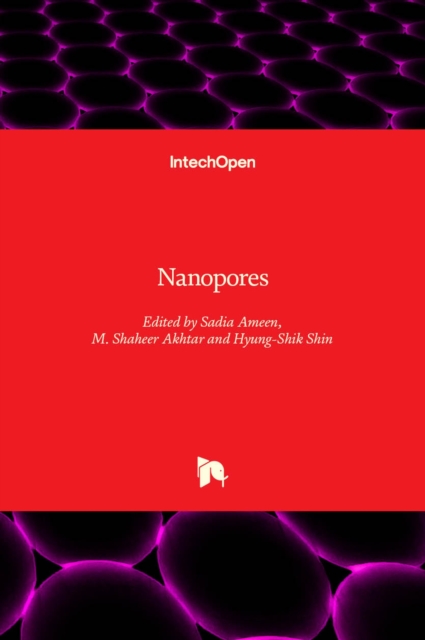 Nanopores, Hardback Book