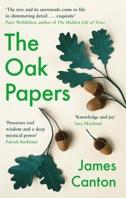 The Oak Papers, Paperback / softback Book