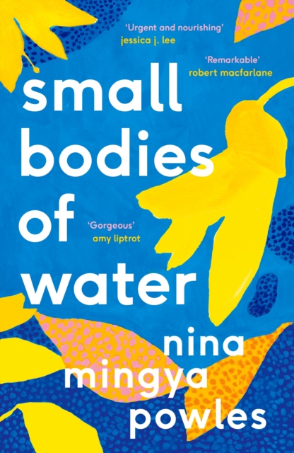 Small Bodies of Water, Paperback / softback Book