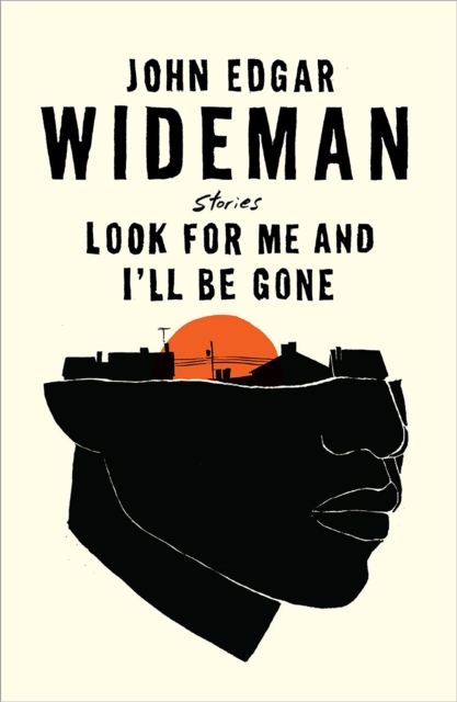 Look For Me and I'll Be Gone, Hardback Book