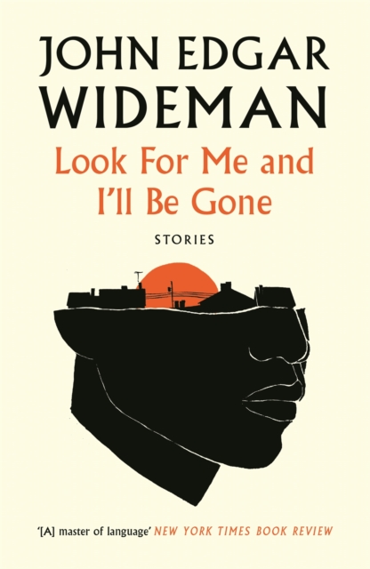 Look For Me and I'll Be Gone, EPUB eBook