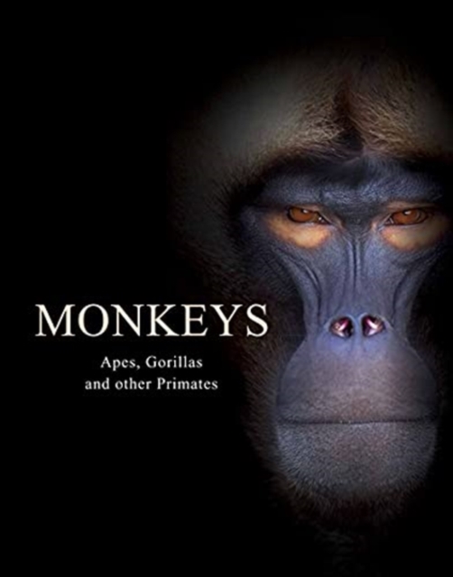 Monkeys : Apes, Gorillas and other Primates, Hardback Book