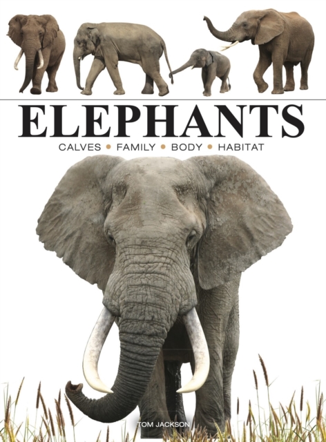 Elephants, Paperback / softback Book