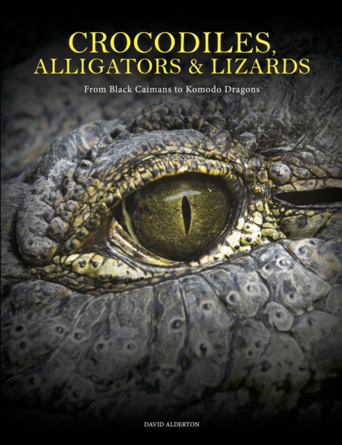 Crocodiles, Alligators & Lizards : From Black Caimans to Komodo Dragons, Hardback Book